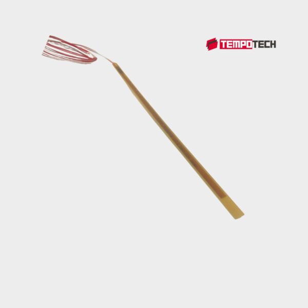 TT-Stator Slot RTD Temperature Sensor